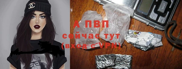 ПСИЛОЦИБИНОВЫЕ ГРИБЫ Покачи